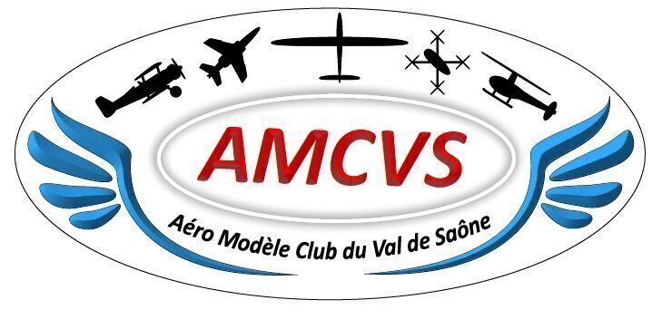 amcvs.fr